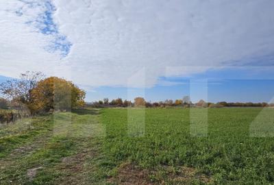 Teren de 1400 mp, în Răzvad - 2