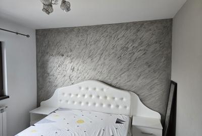 Apartament cu 2 camere decomandat în Podul de Fier - 4