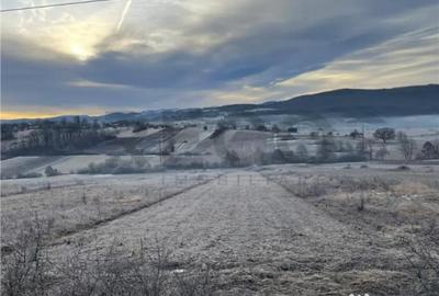 Teren în Vadu Crișului - 1