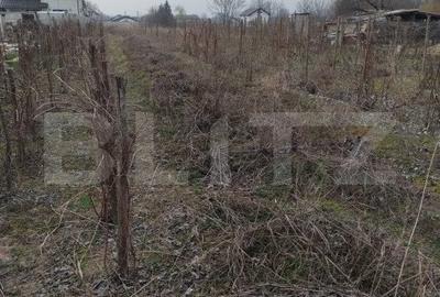 Teren Construcții intravilan de 1800 mp, în Malu Mare - 3