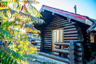 Hotel/Pensiune, de 200 mp, în Almaș - 16