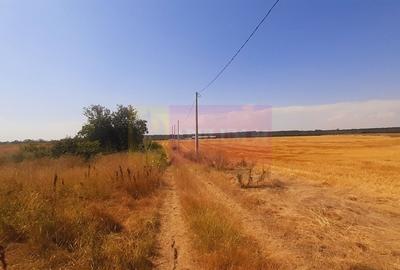 Teren pentru casa/case in Branesti pe strada Toporasi - 14
