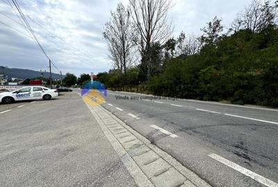 Teren Piatra Neamt , la strada 70 m lineari deschidere - 4
