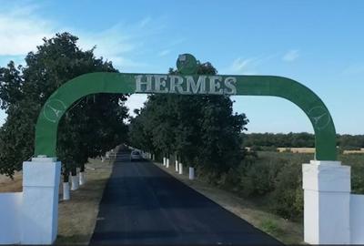 Ferma Hermes Slobozia