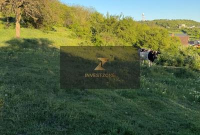 Teren de 2700 mp, în Oncea - 5