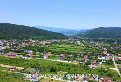 TEREN 2510 MP, PRETABIL DEZVOLTARE REZIDENTIALA - 1