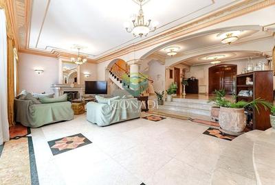 Iancu Nicolae, vila speciala cu 6 camere, 1621 mp teren, de vanzare - 2