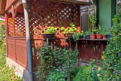 Vand apartament 2 camere central - 4