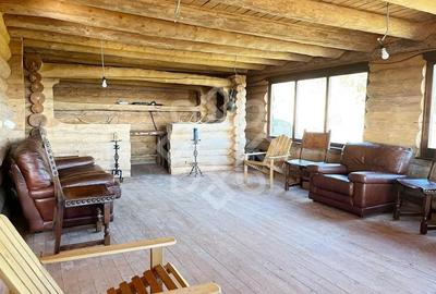 Casă cu Teren 2046 Mp în Tileagd - 3