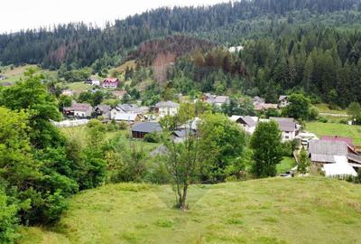 Teren 6,865mp Vorone? / Gura Humorului / Bucovina - 12