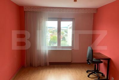 Apartament cu 3 camere, 79 mp, mobilat-utilat, Unirii. - 3