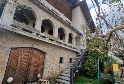 Campulung Muscel, Arges, inchiriere vila superba, la munte - 10