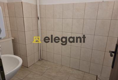 Spatiu comercial cu vad, 206 mp, AC, Calea Bucuresti-Mc Donald's - 8