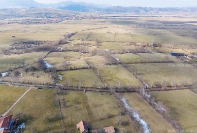 Teren Construcții intravilan de 5967 mp, în Bran - 16