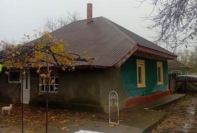 Casă cu 3 camere cu Teren 2500 Mp în Valea Argovei - 2