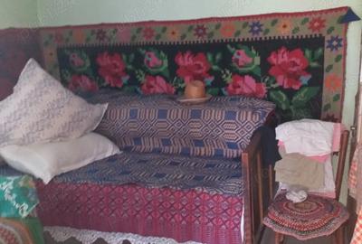 Vanzare Casa in Sat Romanesti