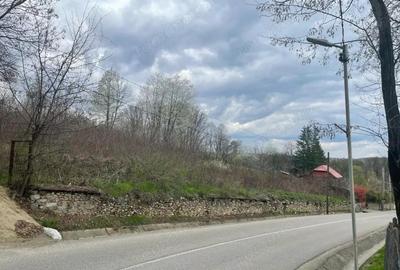 Vanzare teren intravilan - Runcu - oportunitate intr-o zona turistica deosebita - 5