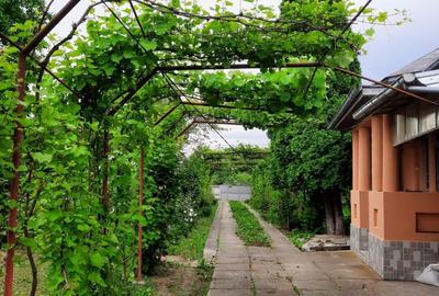 Vand casa in ora?ul Balce?ti,Jude?ul Valcea - 1