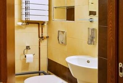 Apartament cu 3 camere decomandat, mobilat în Unirii - 8