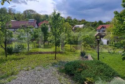 Casa in Teaca cu 4 camere si 10 ari de teren - 5