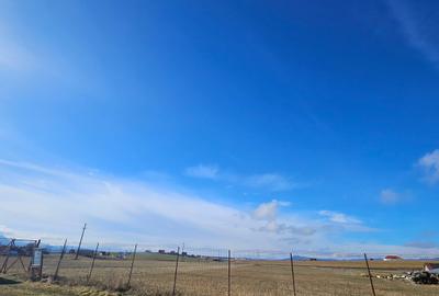 Teren intravilan - Halchiu, construire locuinte individuale - 4