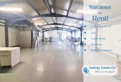 Spațiu comercial, de 250 mp, în Sânmartin - 2