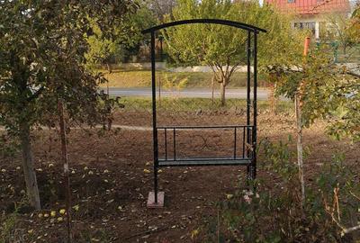 Casă cu 1 camere cu Teren 460 Mp în 1 Decembrie - 1