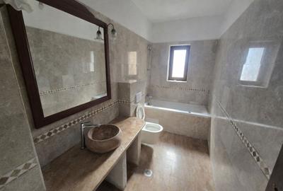 Apartament cu 3 camere decomandat în Tilișca - 13