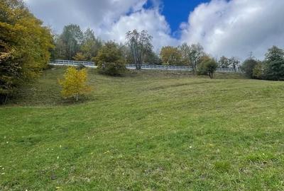 Teren extravilan cu priveliste catre Bucegi – Moieciu de Jos 4.700 mp - 1