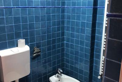 Apartament 1 cameră | Faleză Dunăre | Vedere superbă - 5