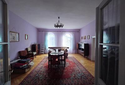 Casa cu aer nobil in Baia de Cris - 10