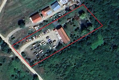 Hală pentru activități diverse/teren 5000 m² Hală pentru activități diverse/teren 5000 m² - 4