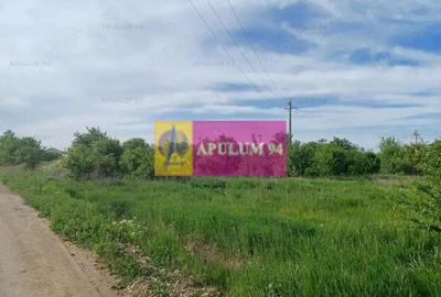 Teren de 1400 mp, în Joița - 3