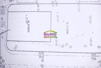 Teren intravilan de 404 mp, în Tineretului