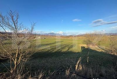 Teren de 1000 mp, în Central - 2