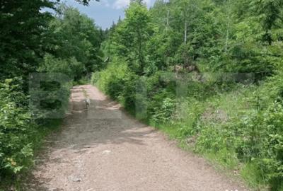 Teren în Scărișoara - 7