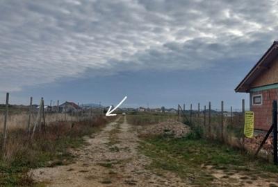 Spațiu comercial, în Cihei - 3