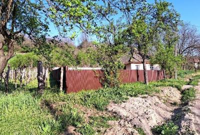 Casa si teren-com. Licurici, loc. Negreni, jud Gorj - 5