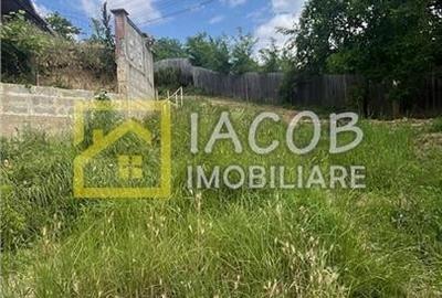 Casa cu 1690 mp teren, vie pe rod, comuna Sarata, jud. Bacau - 13