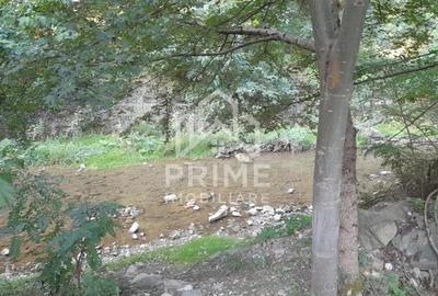 Teren de 2480 mp, în Fața - 1