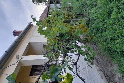 Casa de vanzare in Pocsaj Ungaria - 2