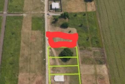 Spațiu comercial, în Moșnița Nouă - 1