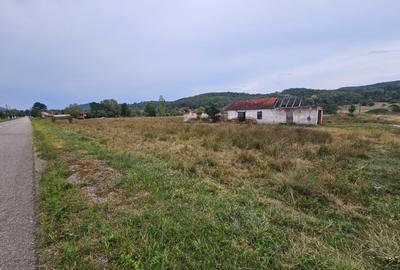 Teren Construcții intravilan de 47430 mp, în Petriș - 8
