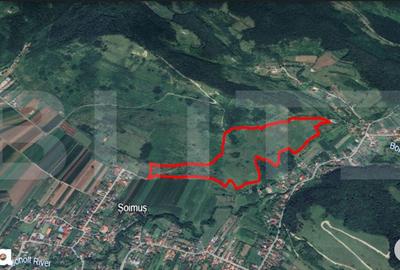 Teren de 122400 mp, în Șoimuș - 1