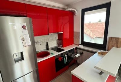 2 camere Jiului - 5
