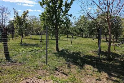 Casă cu 3 camere cu Teren 1347 Mp în Central - 4