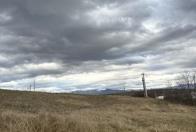 Spațiu comercial, în Central - 2