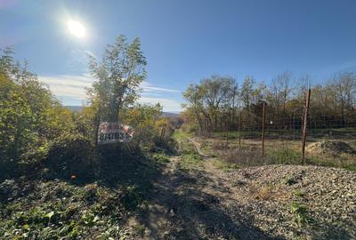 Teren Construcții intravilan de 748 mp, în Bârnova - 15