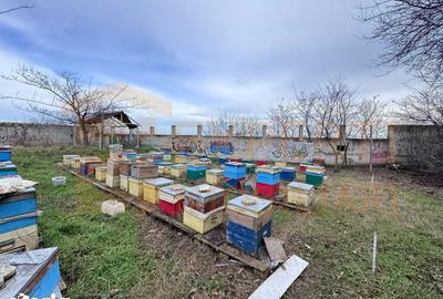 Teren de 470 mp, în Poarta 6 - 1