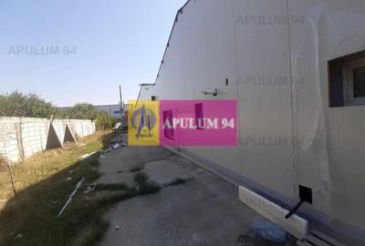 Hala productie sau depozitare și birouri langa Bucuresti - 6